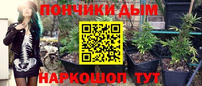 spice Сланцы