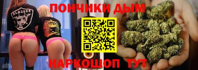 spice Сланцы