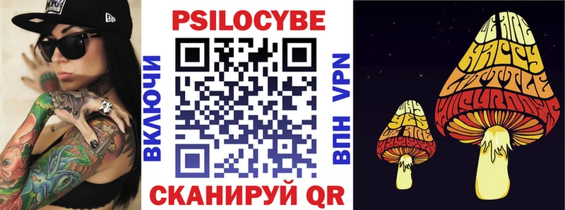 Галлюциногенные грибы Psilocybe  Сосновоборск 