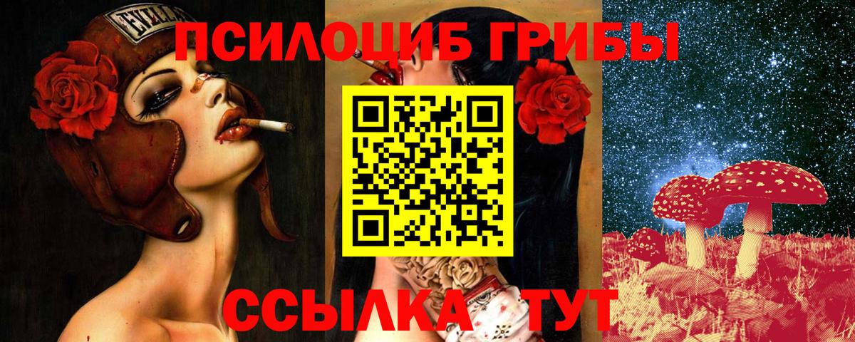 Сосновоборск  где продают   Вход с VPN  Галлюциногенные грибы Psilocybine cubensis 