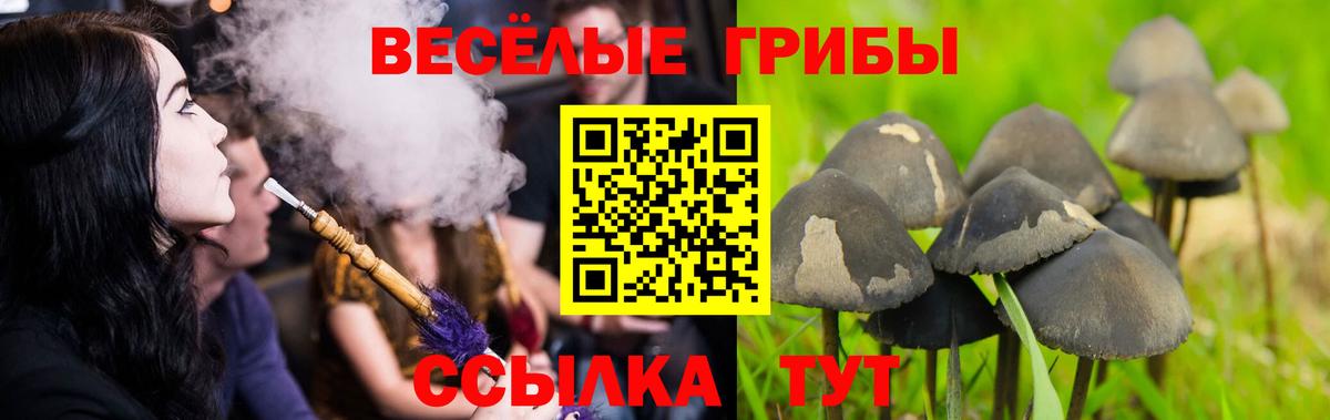 Галлюциногенные грибы мицелий Сосновоборск